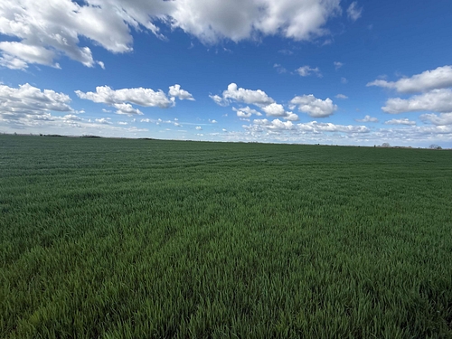 Teren Agricol