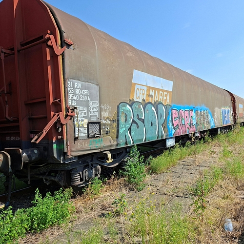 Poza nr. 1