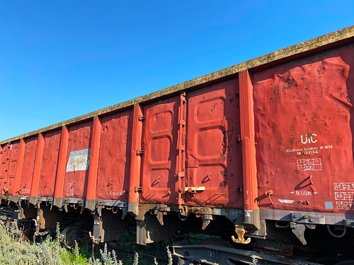 poza  5