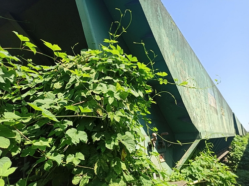 03