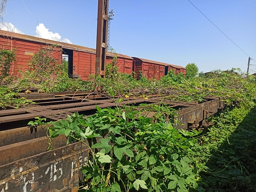 04