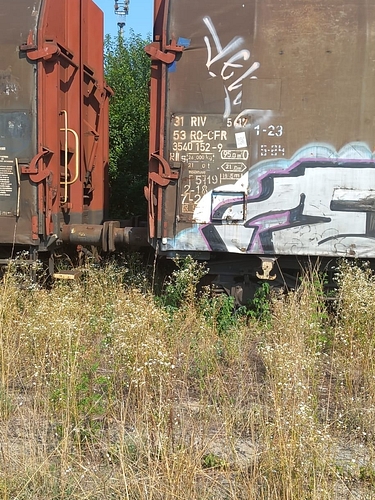Poza nr. 1