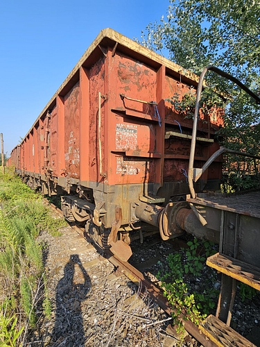 poza  5