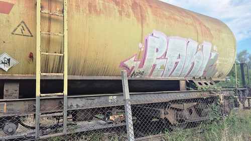 Poza2