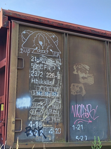 poza 4