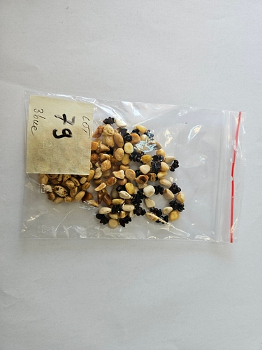 Poza 4