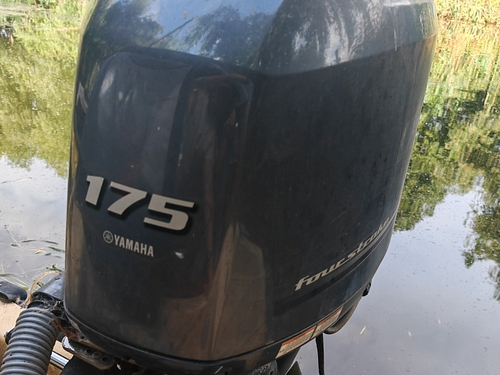 barca cu motor