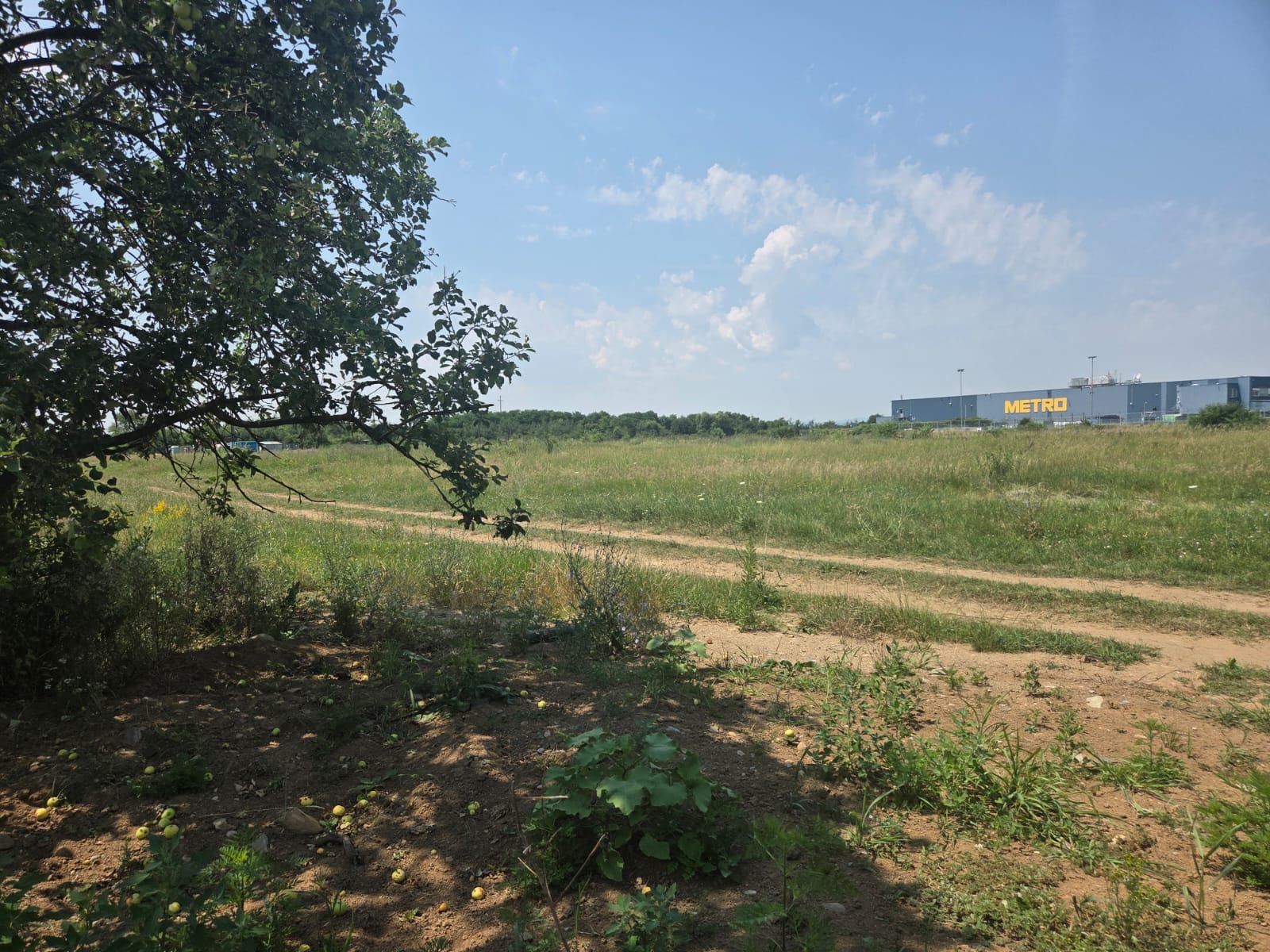 cotă de 1/2 din teren în suprafata de 500 mp (cotă aferentă : 250 mp)
