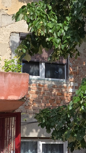 poza 9