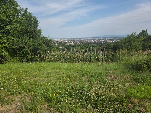 teren