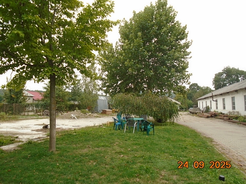 foto 2 - teren intravilan