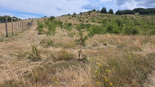 poza 8