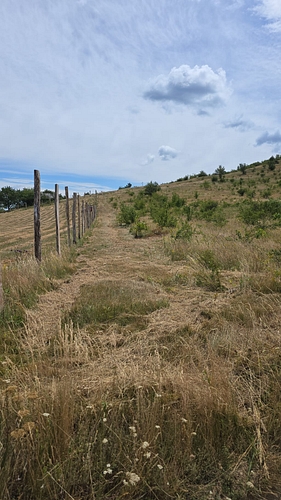 poza 3
