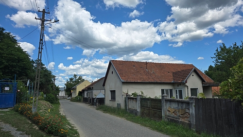 POZA 4
