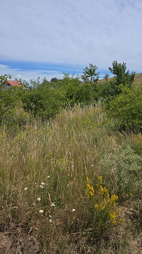 poza 5