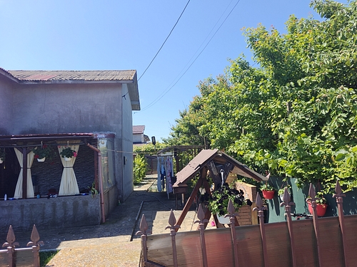 Poza 5
