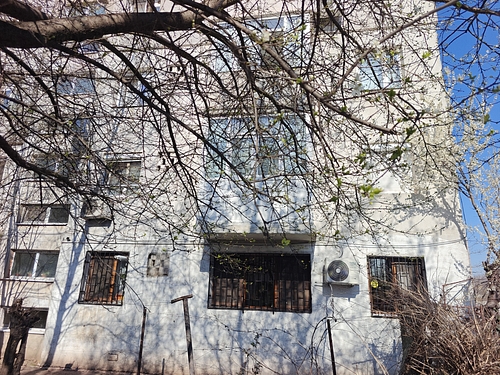 poza 5