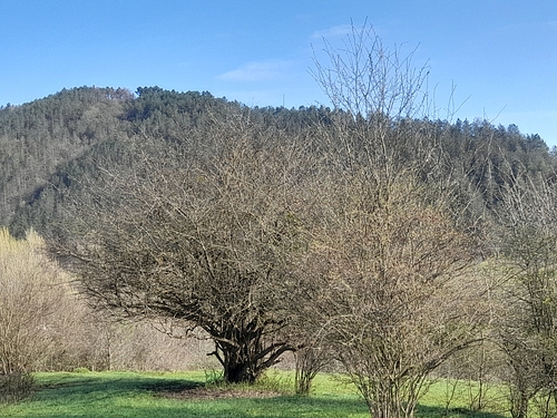 Poza 5