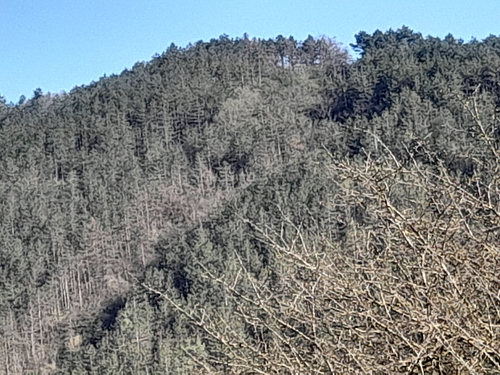Poza 3