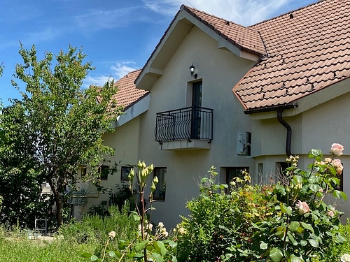 Foto 19