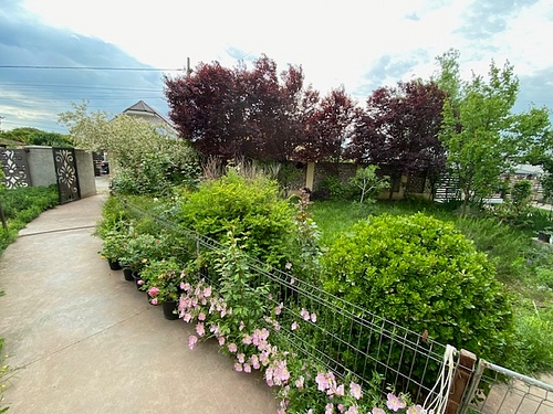 Foto 9