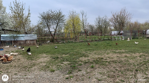 proprietate-arabil
