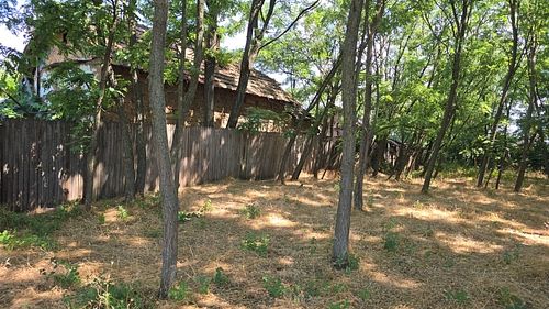 poza 9