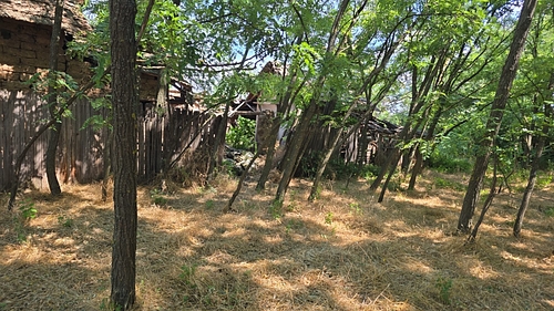 poza 10