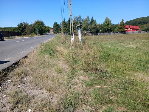 poza 8