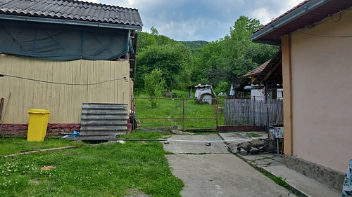 poza 6