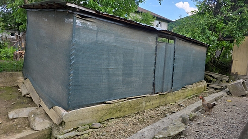 poza 9