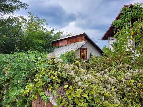 poza 11