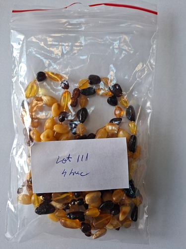 Poza 5