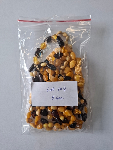 Poza 5