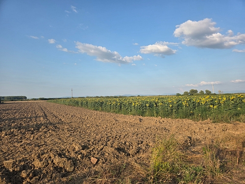 Poza nr2