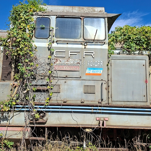 Poza nr. 4