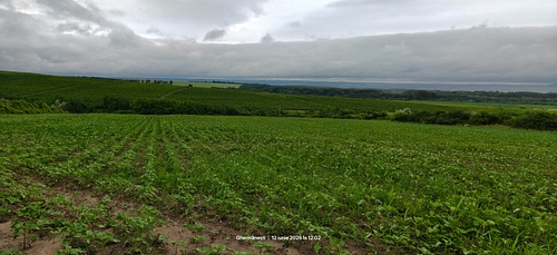 Lot1 teren extravilan, sat Ghermănești, Comuna Drânceni, Județul Vaslui
