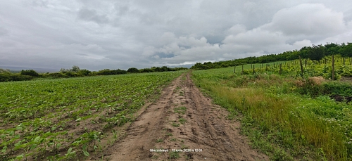 Lot1 teren extravilan, sat Ghermănești, Comuna Drânceni, Județul Vaslui