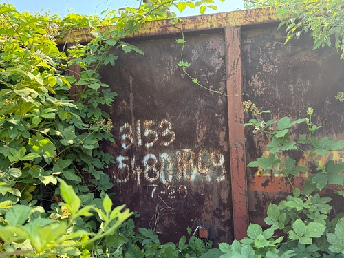 faţă