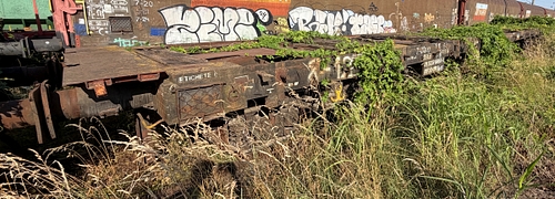 lateral