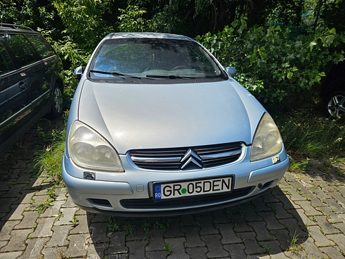 Poza 7
