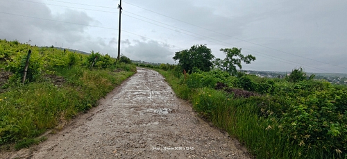 Lot 2 teren extravilan Mun. Huși, Județul Vaslui