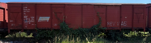 lateral