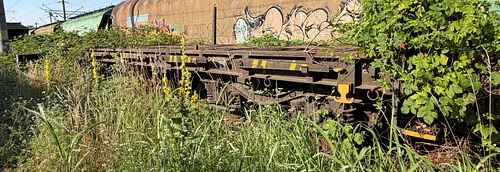lateral