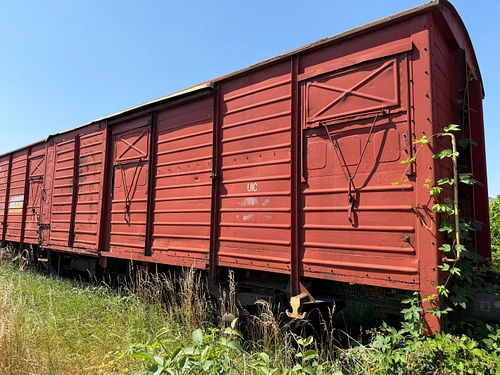 lateral
