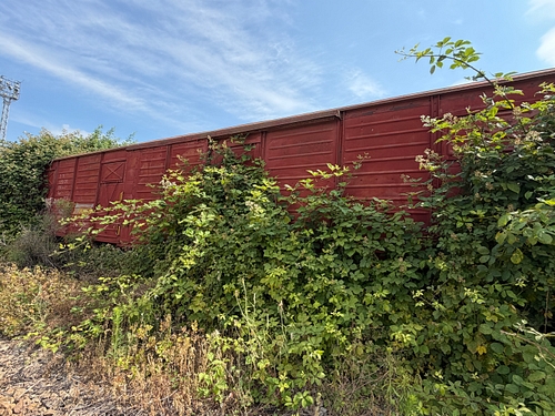 lateral