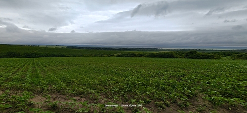 Lot1 teren extravilan, sat Ghermănești, Comuna Drânceni, Județul Vaslui