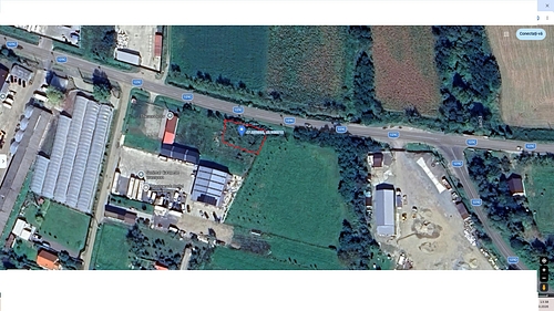 Poza 6