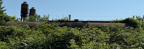 lateral
