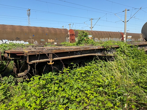 lateral